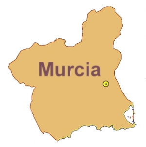 &quot;La sociedad murciana no tiene acceso a los medios públicos de comunicación&quot;